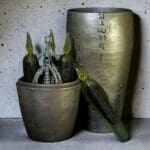 The Black Pathogen Container v2, inspired by our favorite alien movie