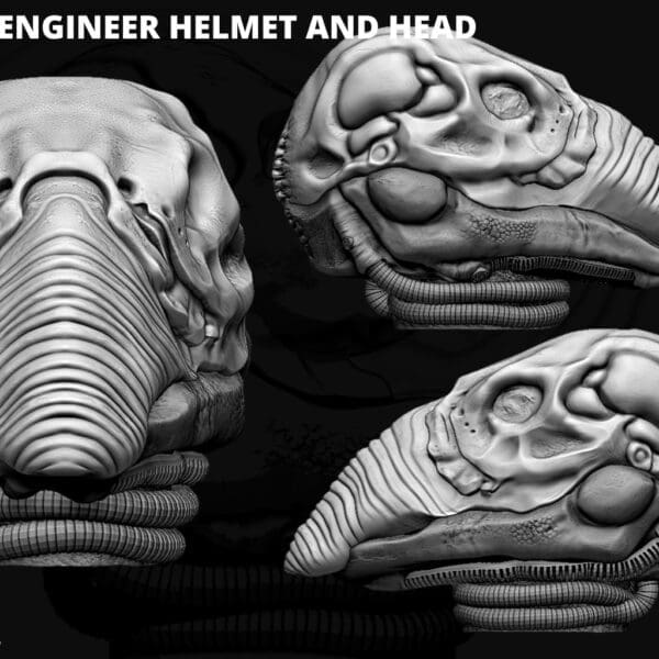 3D sculpt of Prometheus engineer helmet and head.